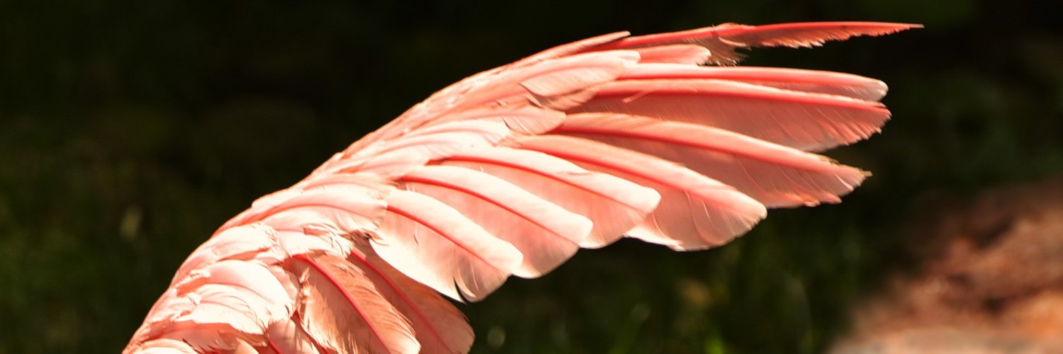 crewelperle's profile banner image