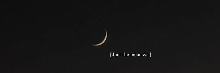 meleknrgul's profile banner image