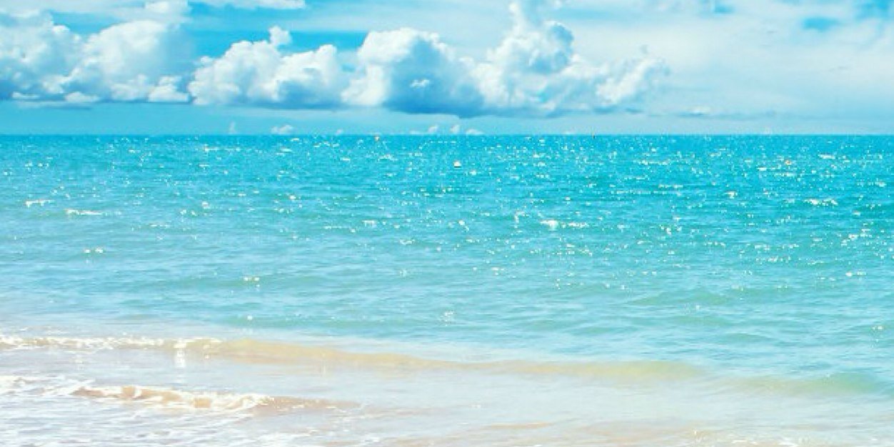 Handarine banner