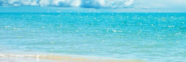 puutt Profile Banner