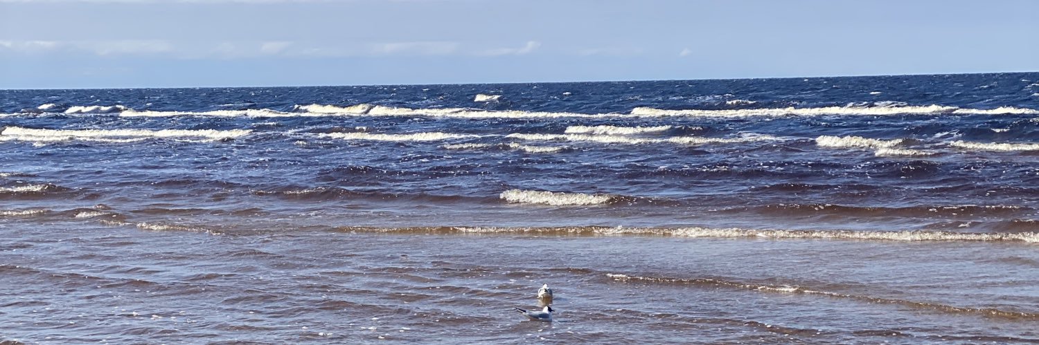 Ieva Pētersone banner