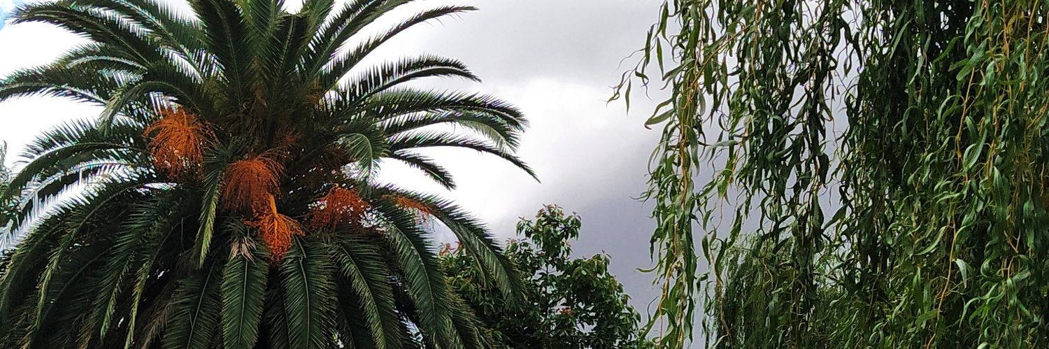 chelo8887's profile banner image
