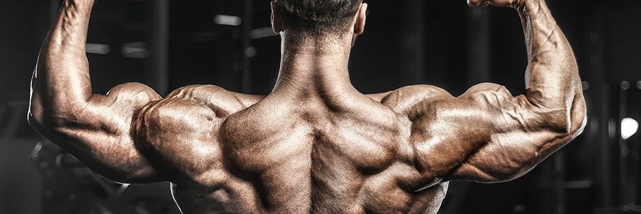 col.fully boy banner