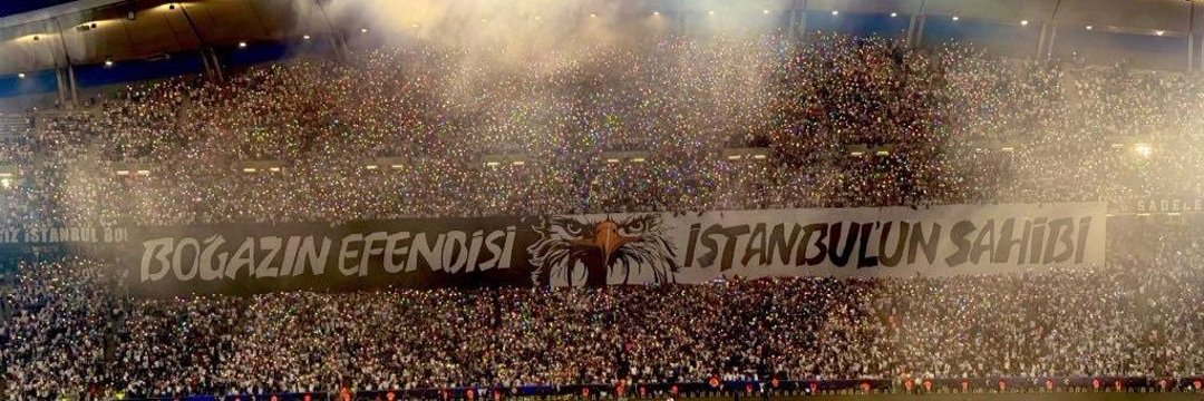 black19 banner