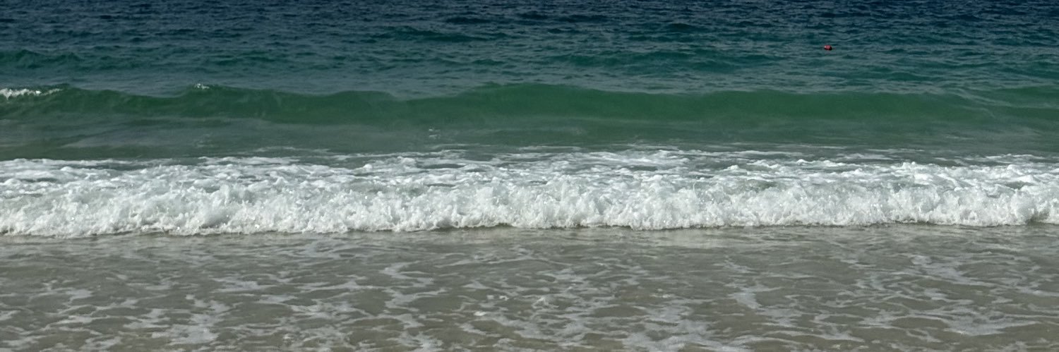 บลูอีกแล้วง่ะ banner