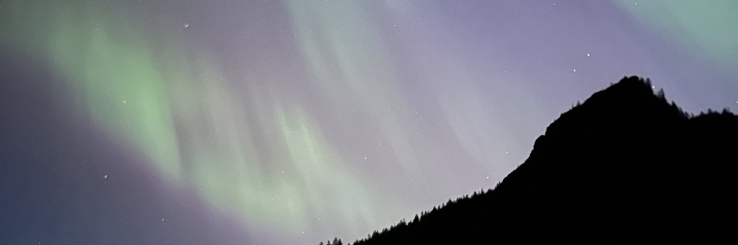 MishkaStinks's profile banner image