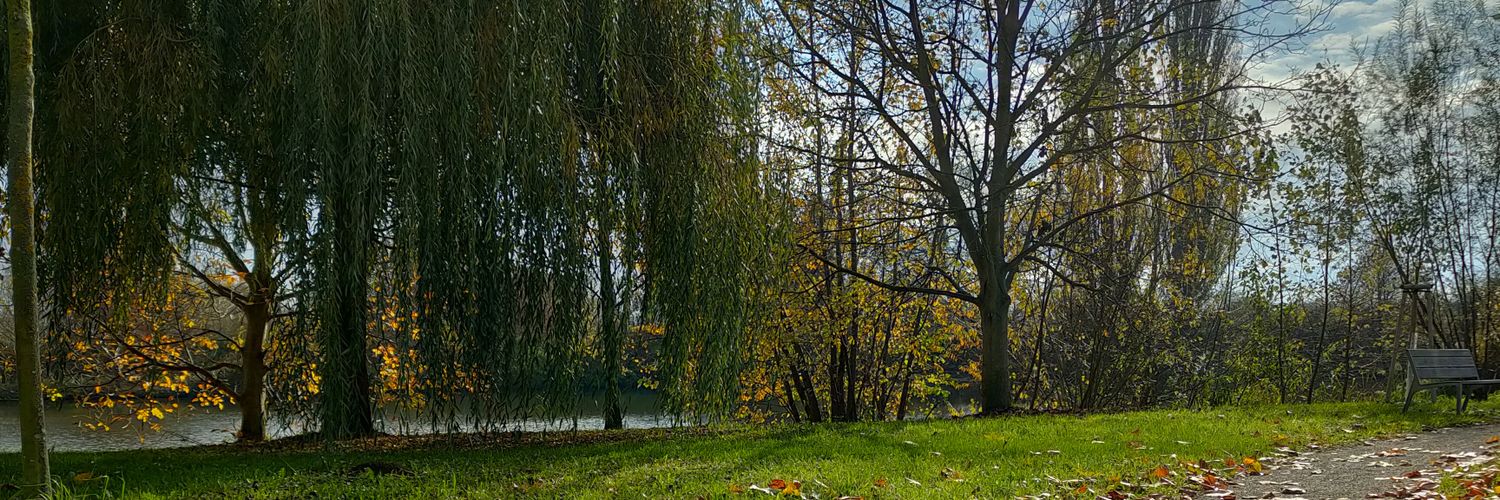 Malipe03's profile banner image