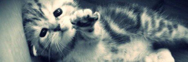 franchoo_3 Profile Banner