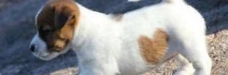 BrennaSmith5's profile banner image