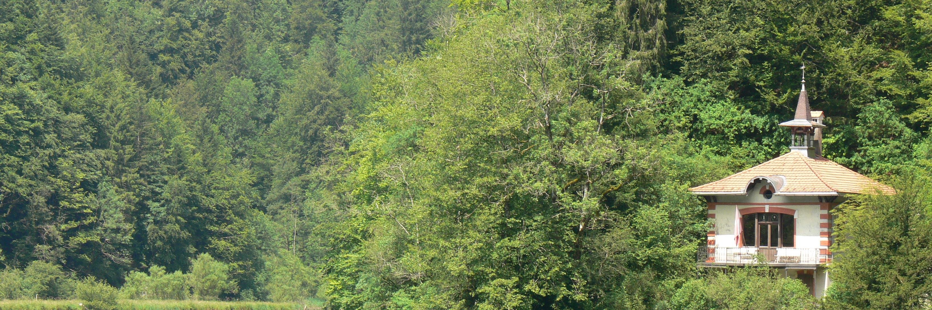 WulfFriedrich's profile banner image