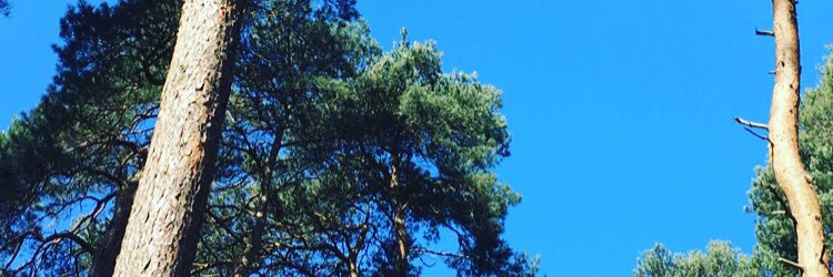 leann1989's profile banner image