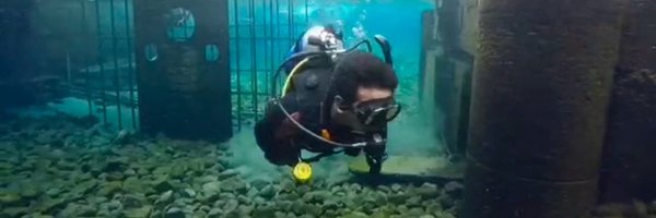 doni_adp Profile Banner