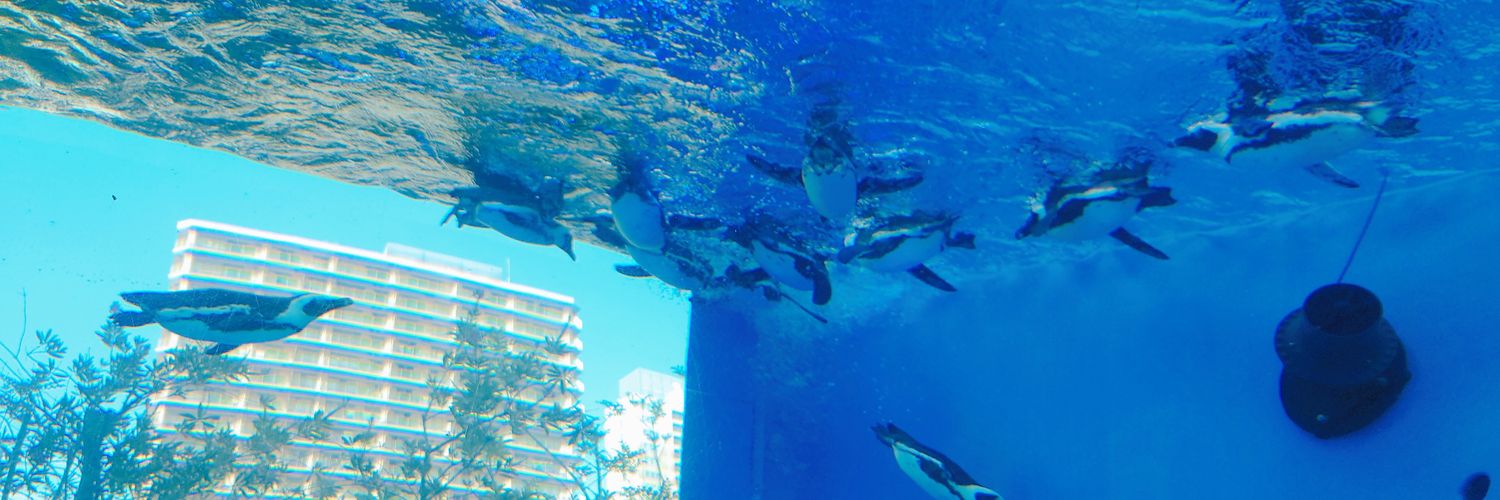 みなもと✧取引 banner