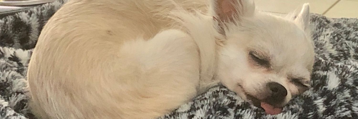 kaydie6's profile banner image