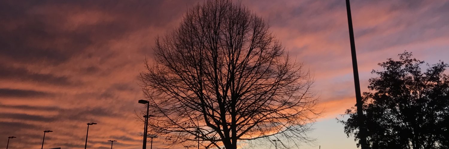 Sharongz18's profile banner image