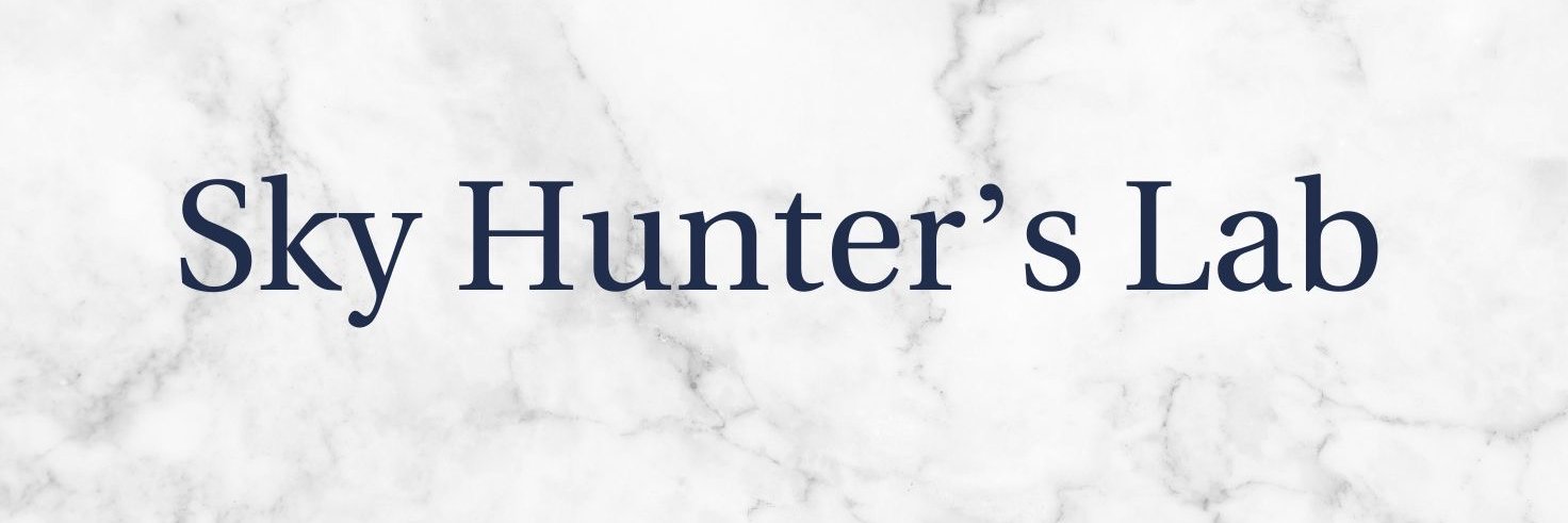 skyhunterslab's profile banner image
