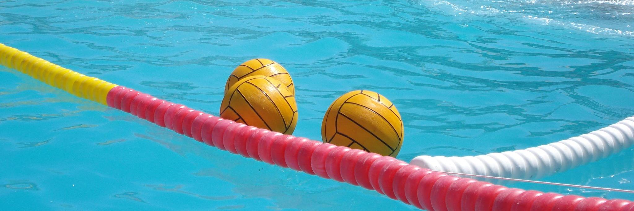 Carlos Rolo - @fogueiras@mstdn.social banner