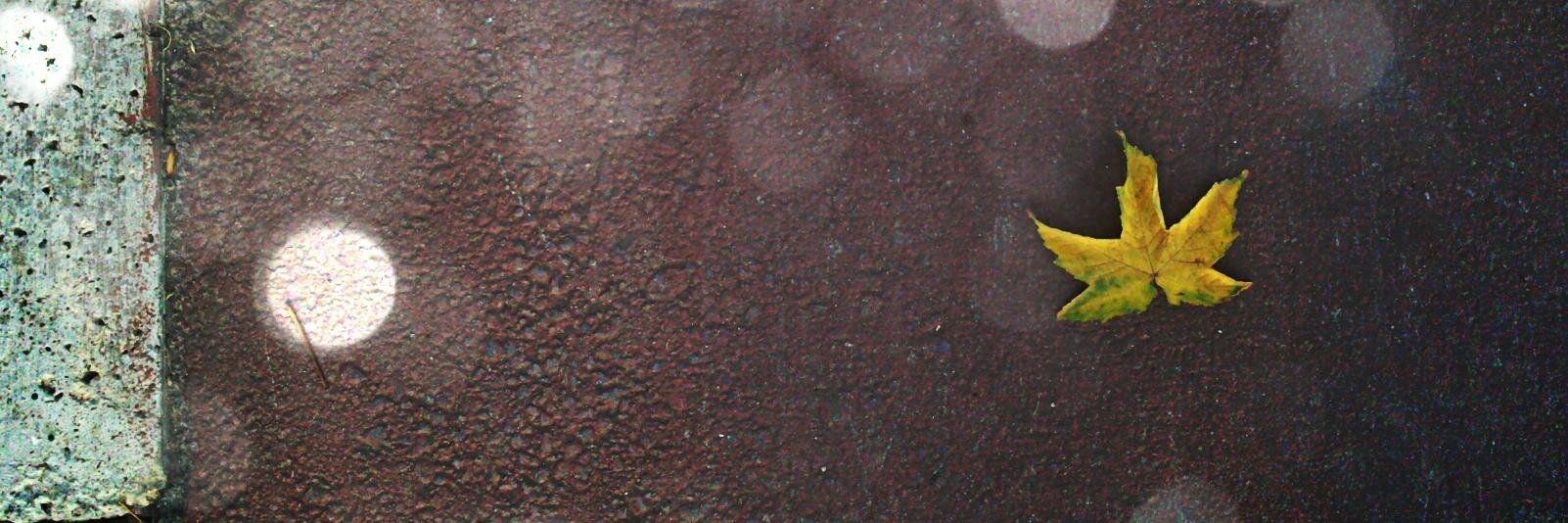 Nihan Tuğçe Ertürk banner