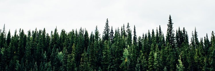 catchcomm's profile banner image