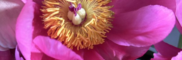 MrsKimPage Profile Banner