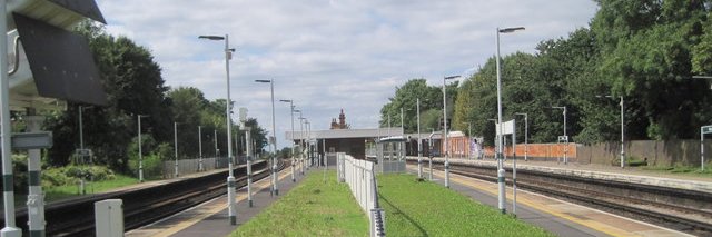 Audicious Rita Norburie banner