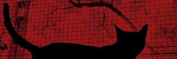 katsukqi's profile banner image