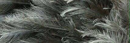 _roosStraver's profile banner image