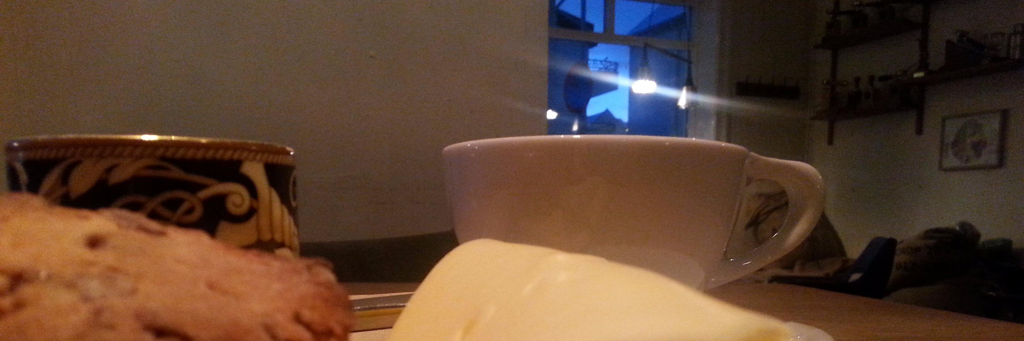 Snorri Kristjánsson banner