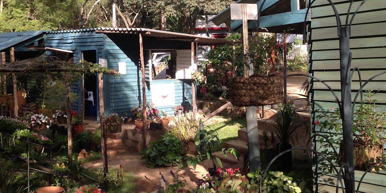 GardeningDread's profile banner image