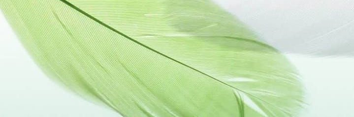 mayangsade's profile banner image