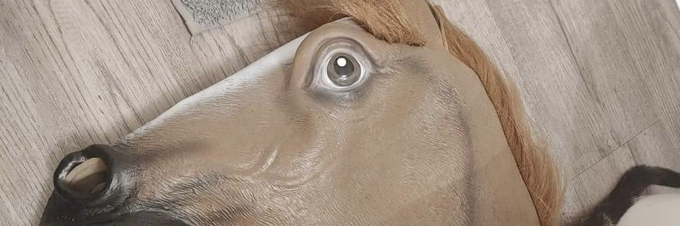 KalaSomething's profile banner image