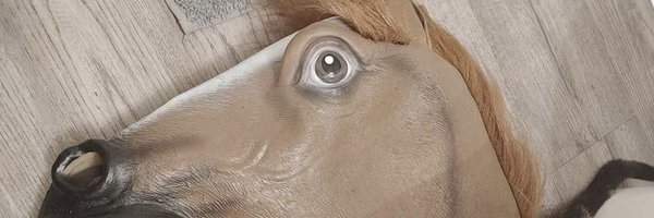 KalaSomething Profile Banner