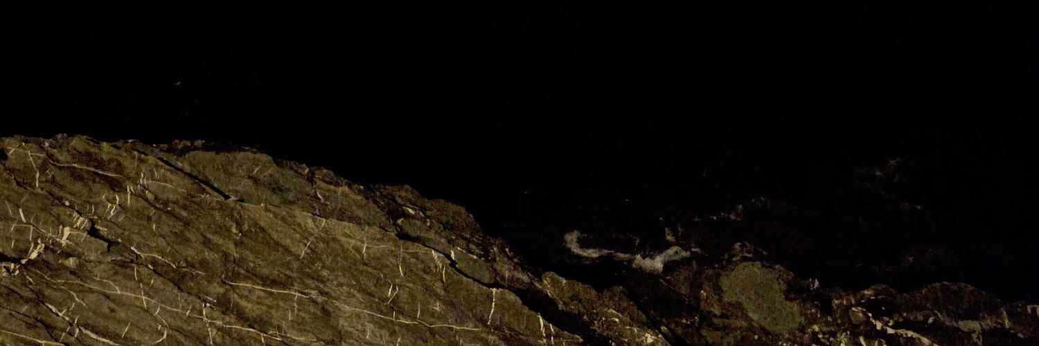 Bobby 2 Grinch - Moving to @reset2return banner