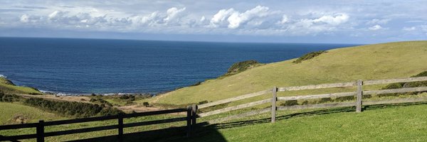 mghcapital_matt Profile Banner