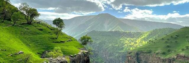 hamedmo1374's profile banner image