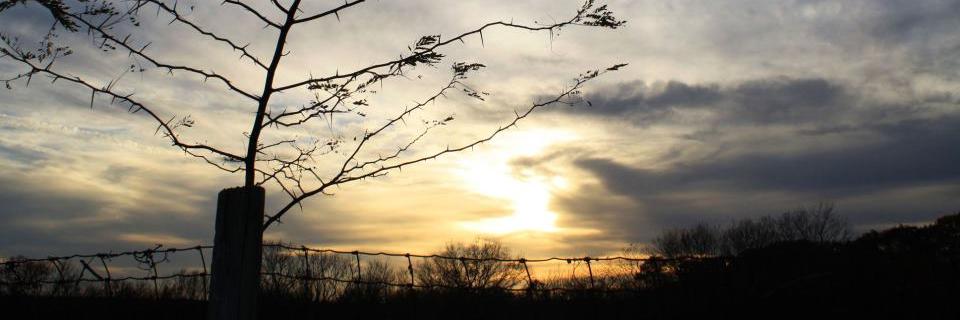 ryansayles's profile banner image
