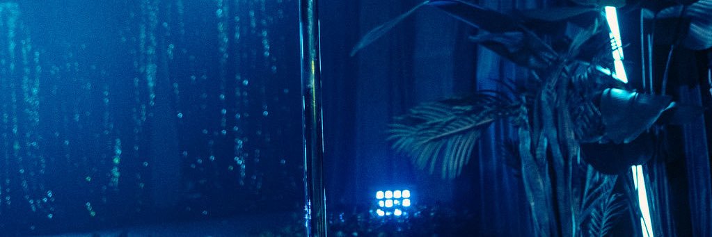 Stormi banner