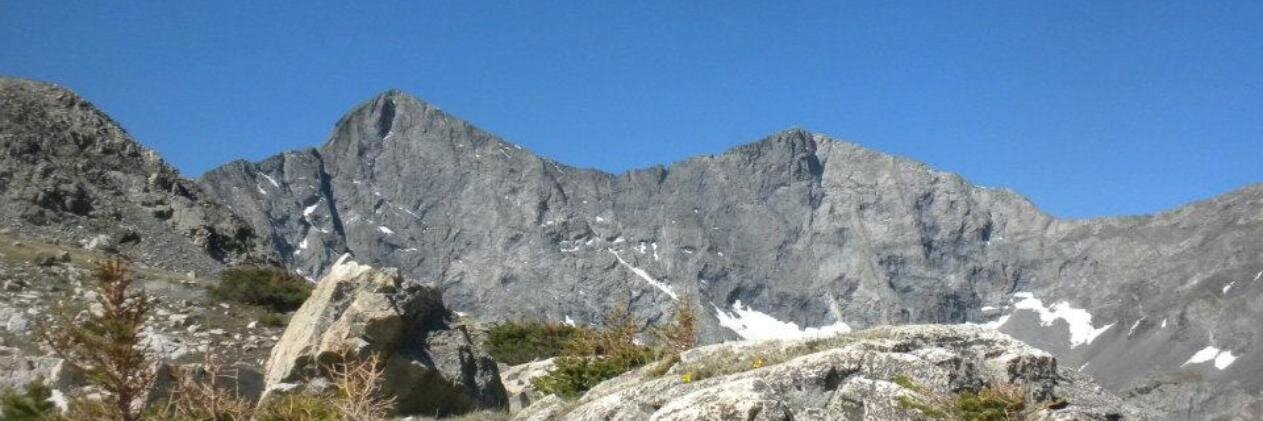 Jakob Rodgers banner