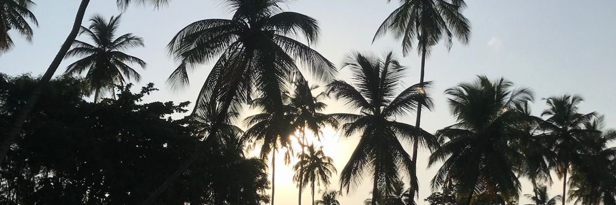 ugxlr's profile banner image