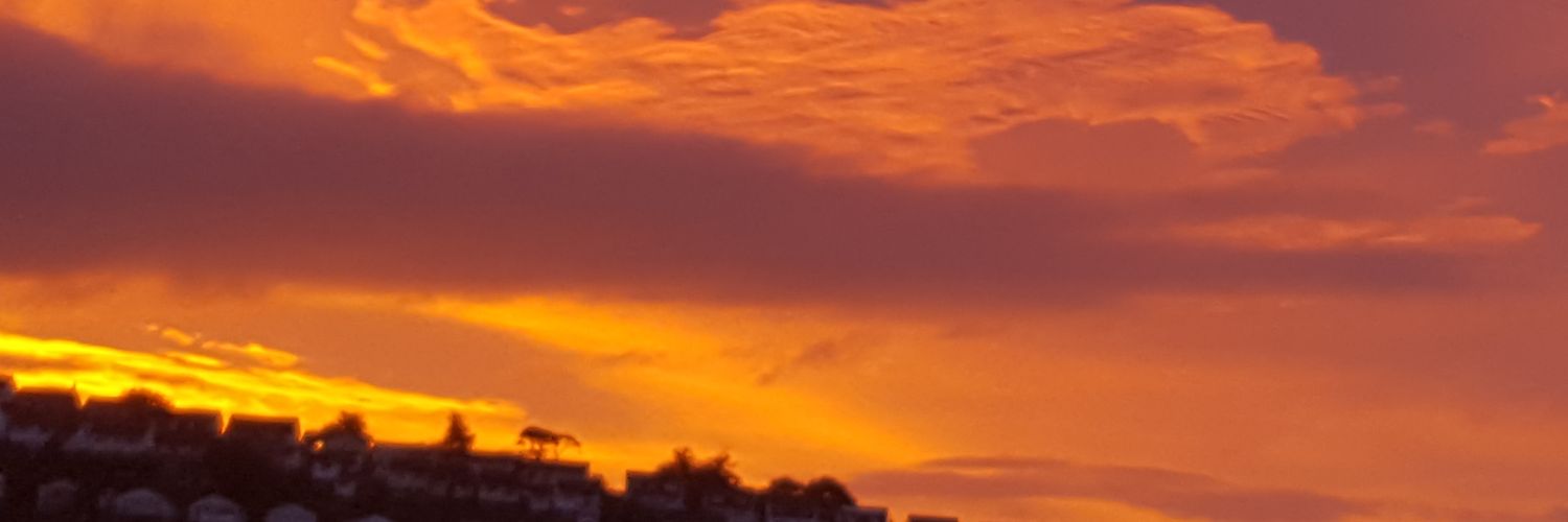 Bruenbear's profile banner image