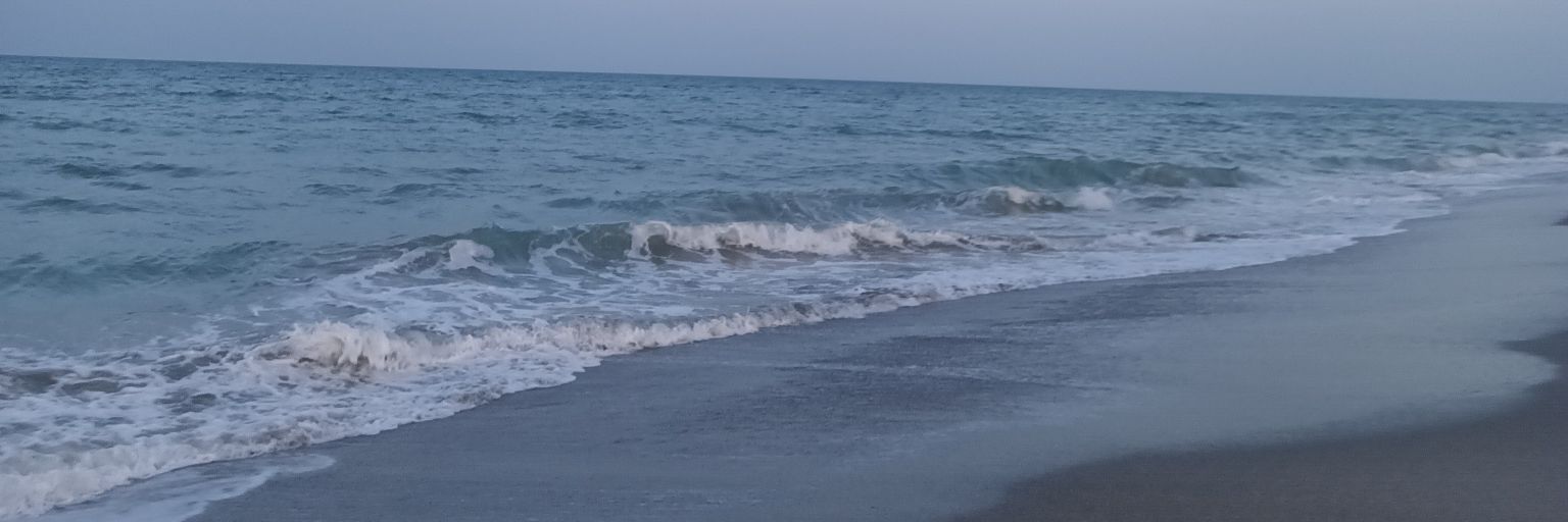 vizzyblu3's profile banner image