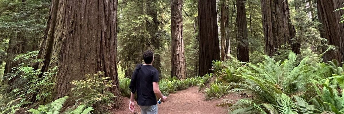 IDKearney's profile banner image