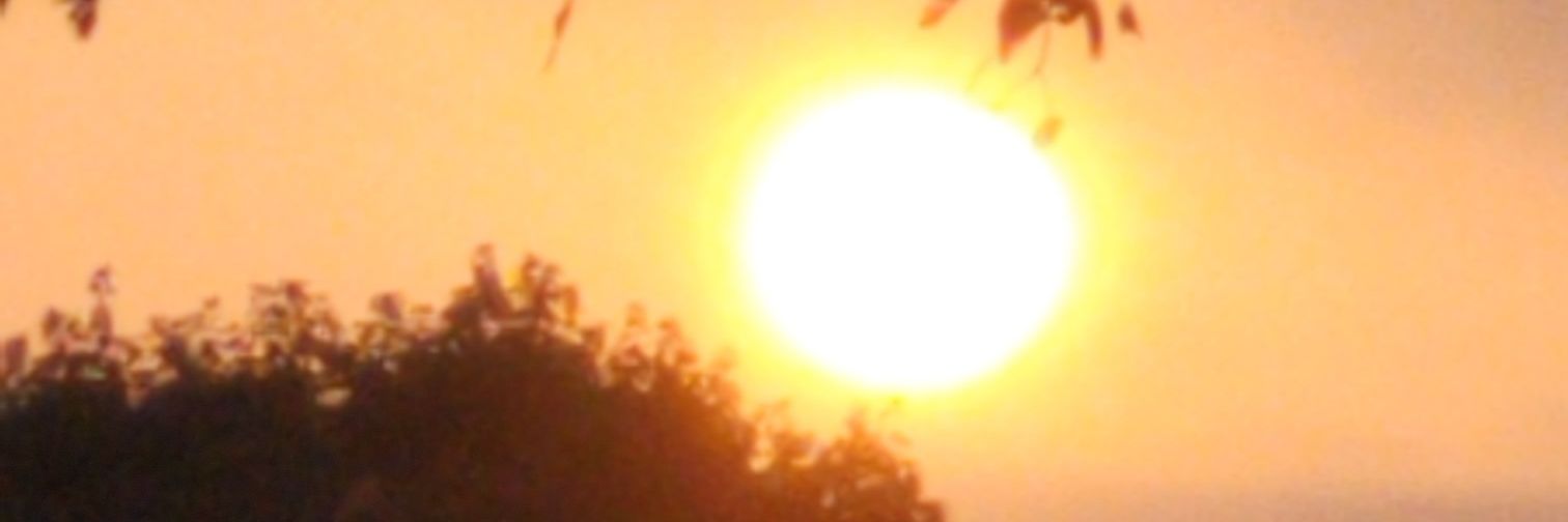 TheFlyFifer's profile banner image