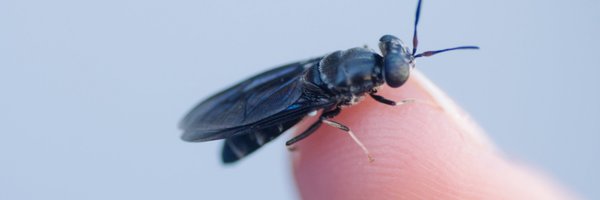 enviroflight Profile Banner