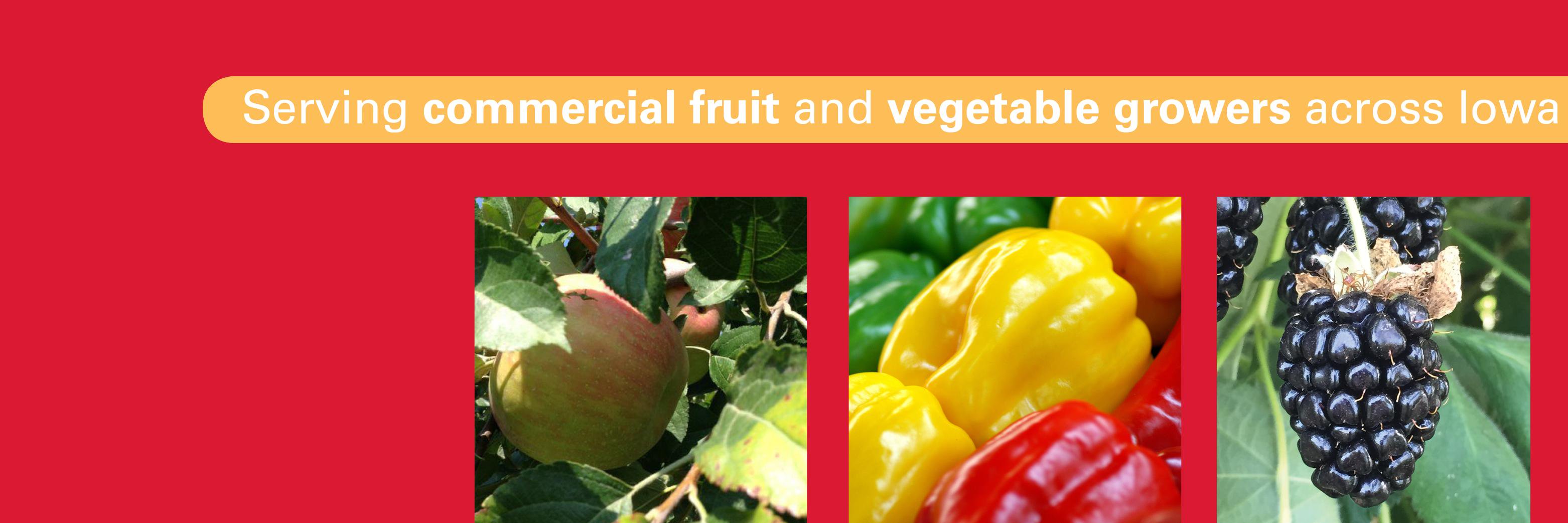 IowaProduce's profile banner image