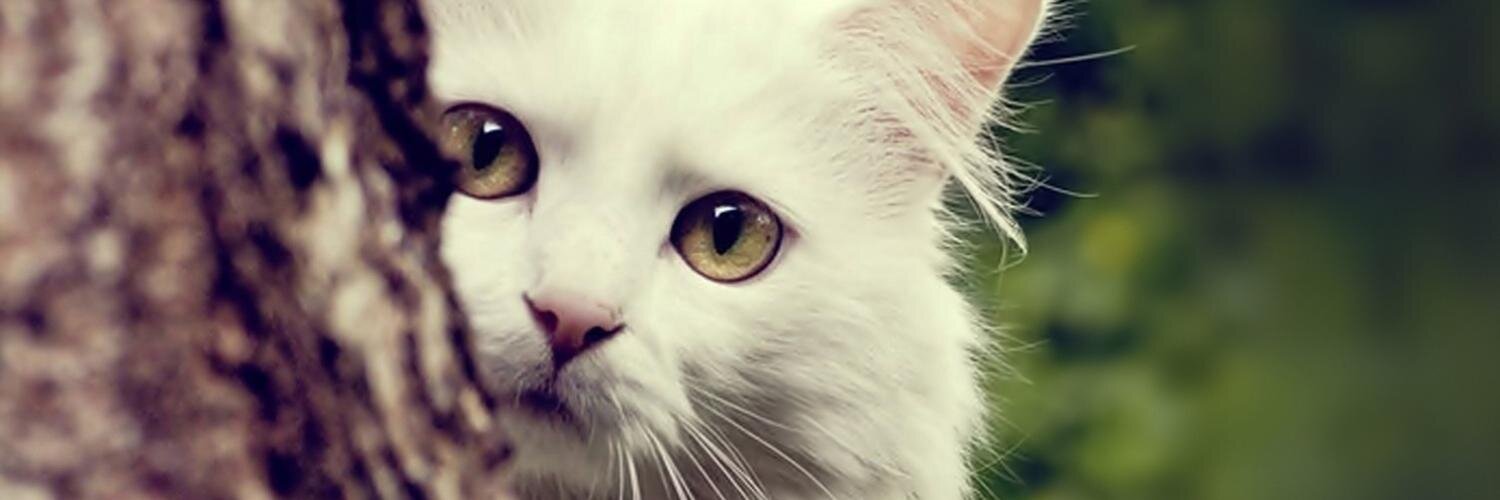 ElenaG84's profile banner image
