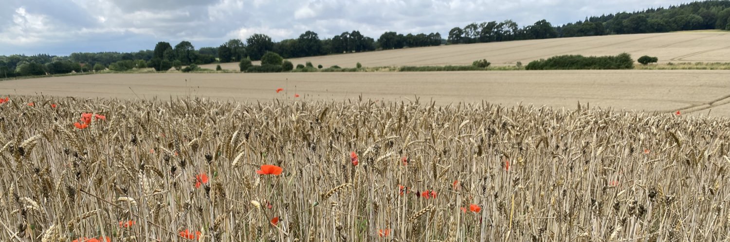 Jess Lane banner