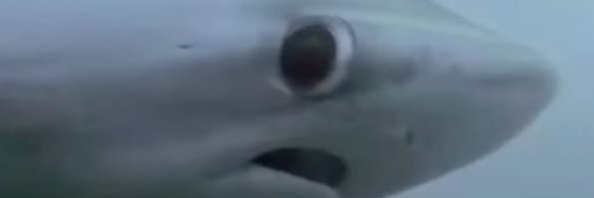 kujoj70's profile banner image