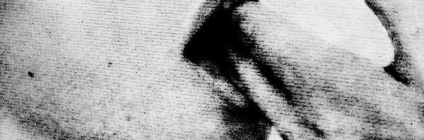 sabe 🐾🐺 banner