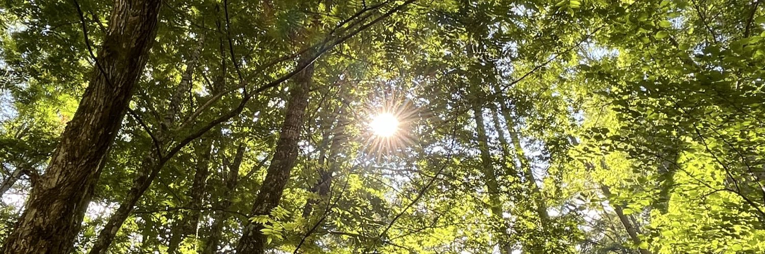 ParadiseKeeperX's profile banner image